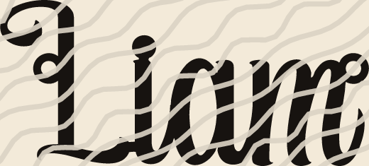 Liam name art view 3